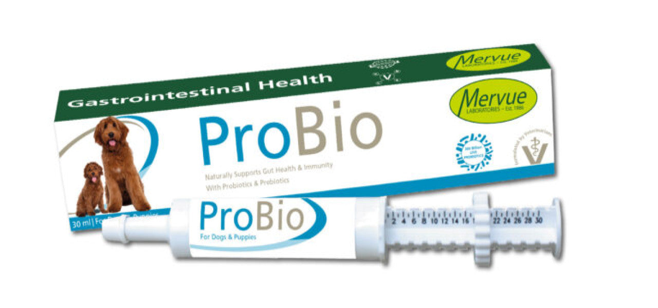 Probio Plus