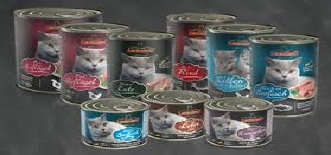 LEONARDO | Cat | 400 gm