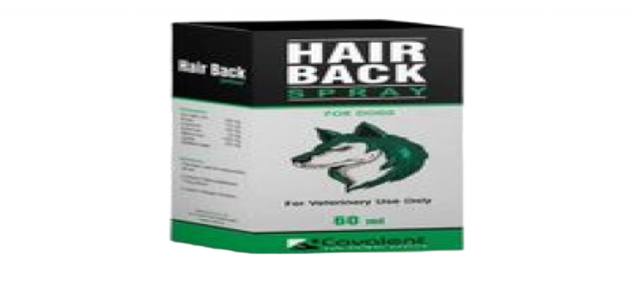 Hair Back Spray