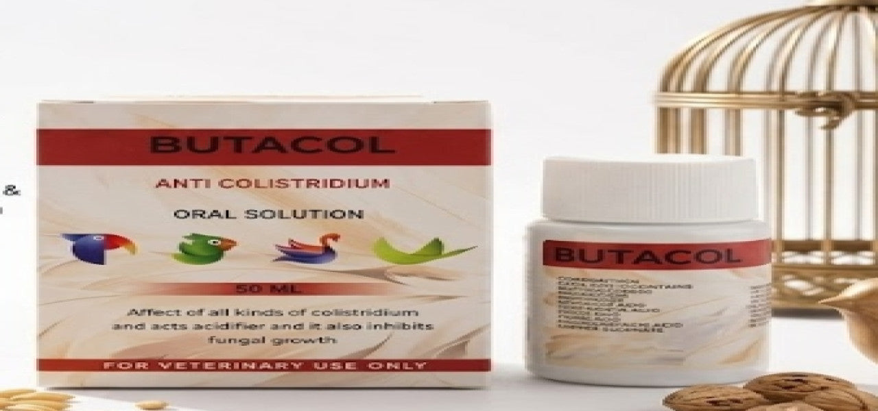 PetsBox | Butacol