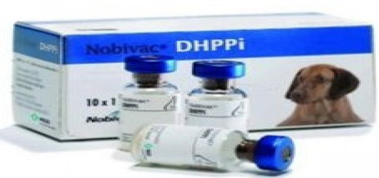 NOBIVAC DHPPI