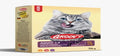 Groovy | Complete Dry Food For Cats