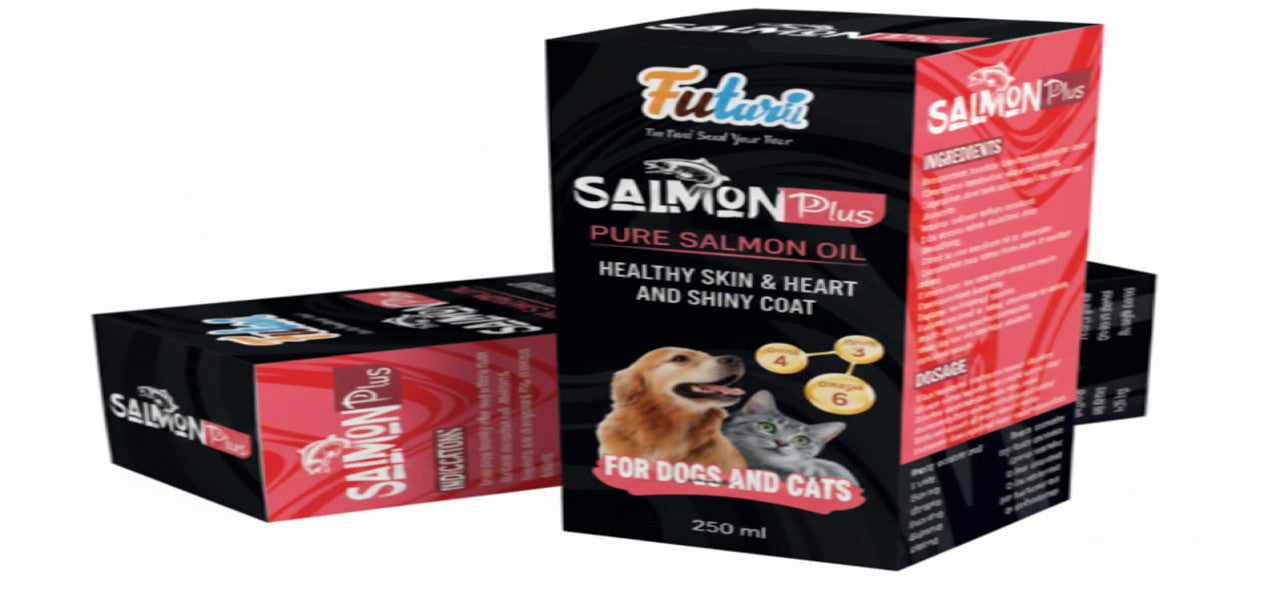 Future | Salmon Plus