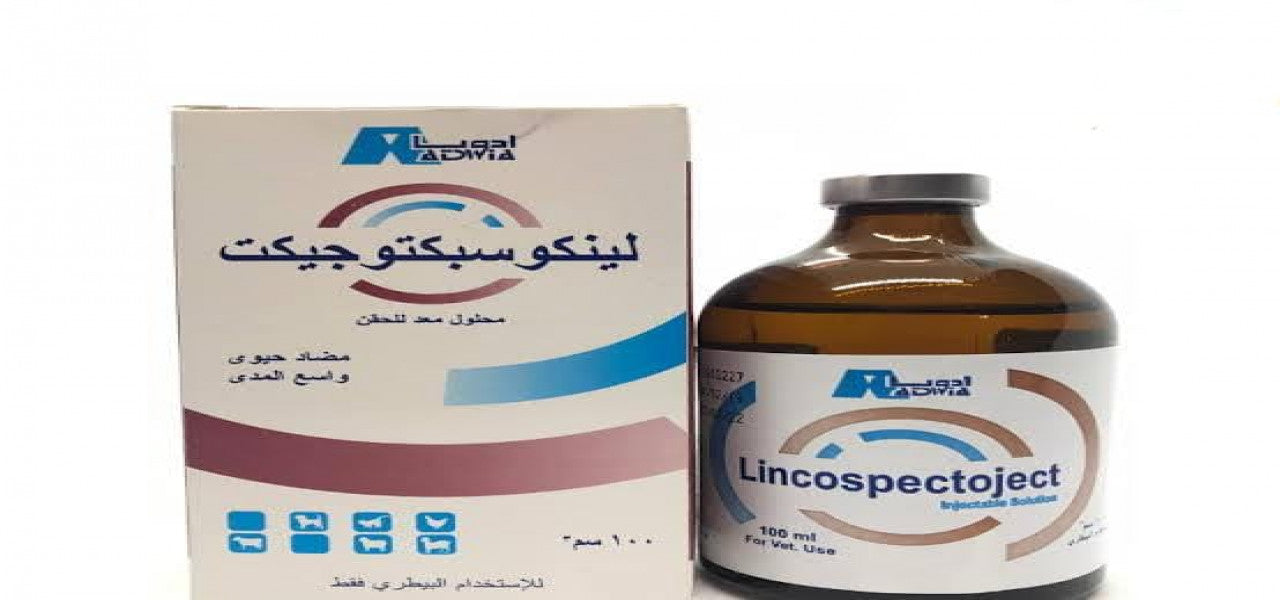 LINCOSPECTOJECT
