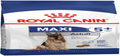 MAXI ADULT+5