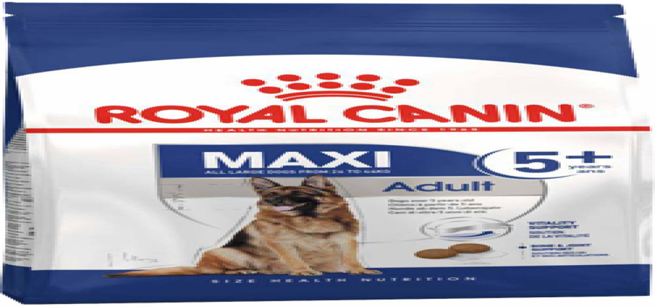 MAXI ADULT+5