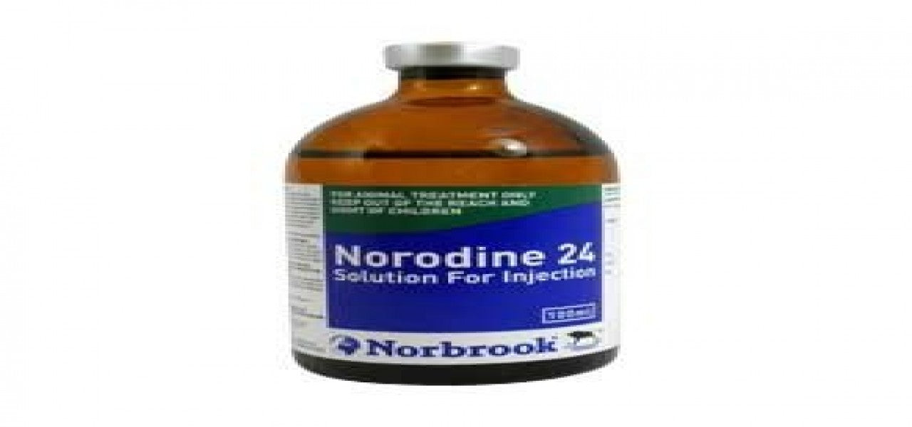 Norodine 24