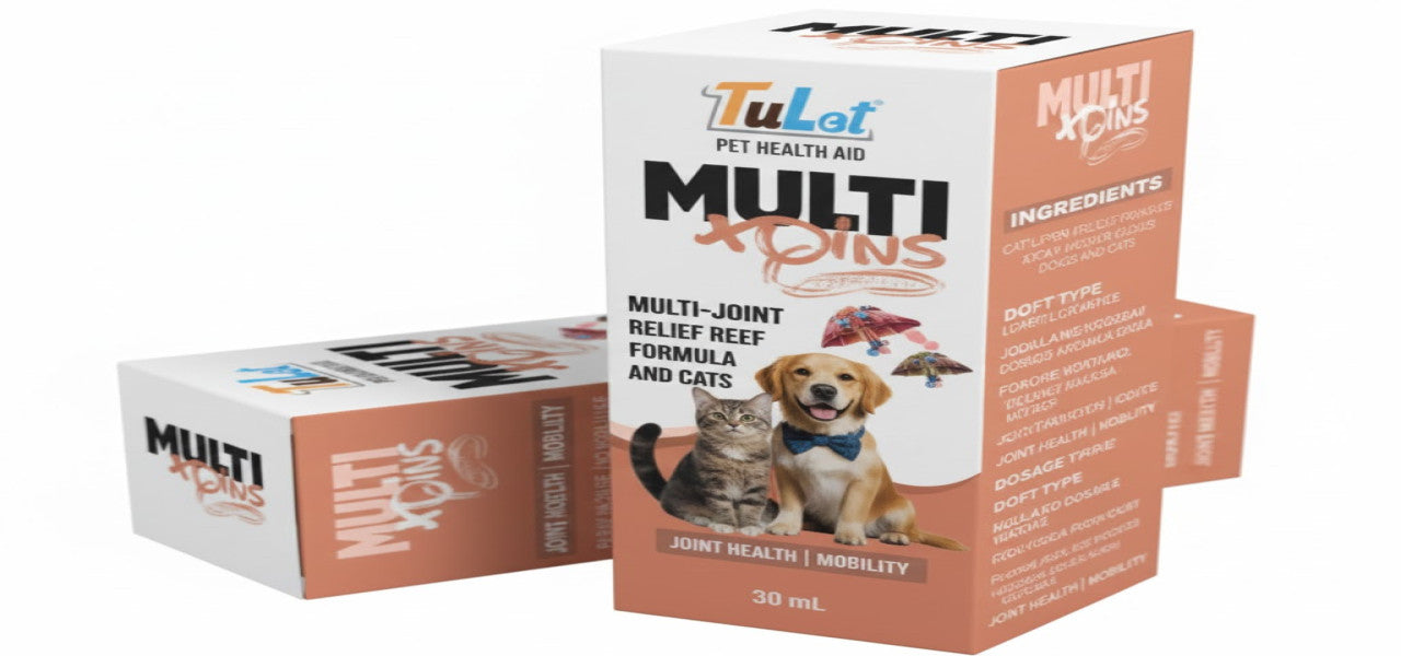 Future | Multi Plus