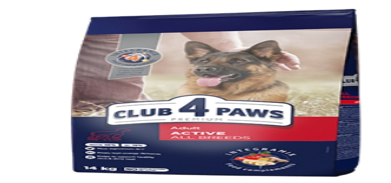 CLUB 4 PAWS Active Dogs