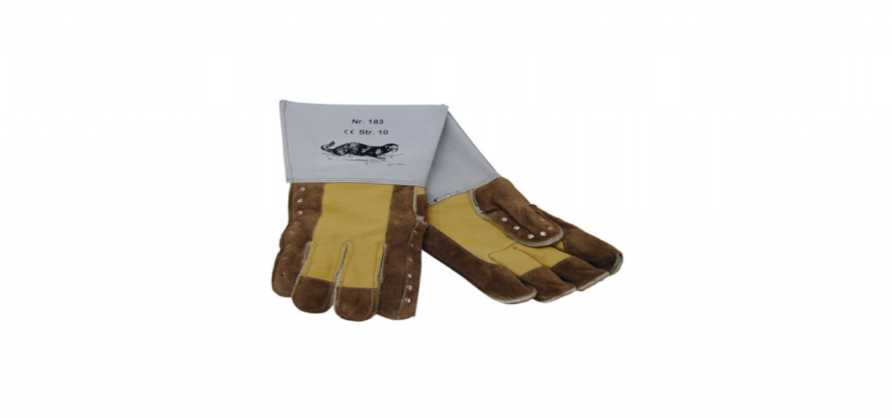 FioniaVet | Protection Gloves