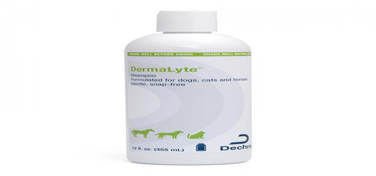 DermaLyte Shampoo