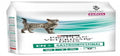 FELINE - EN Gastrointestinal