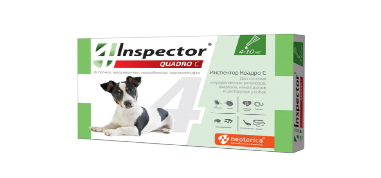 INSPECTOR spot on Dogs