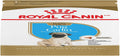 ROYAL CANIN | PUG PUPPY