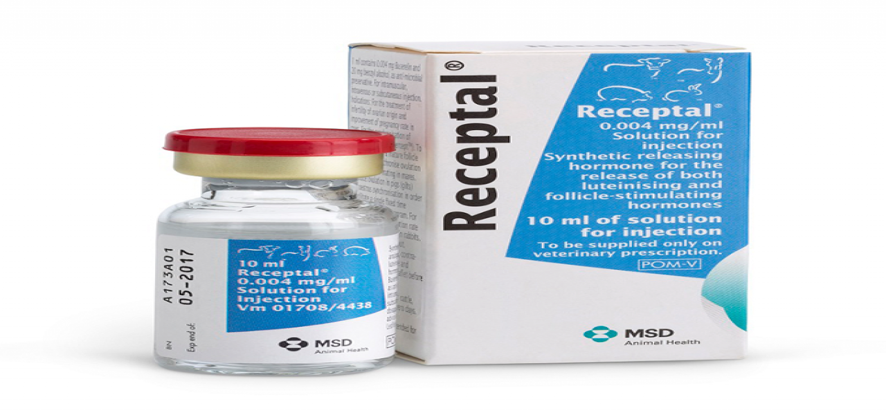RECEPTAL