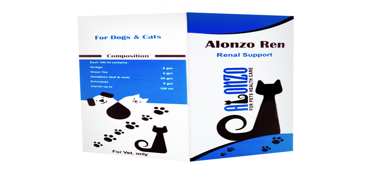 REN - Renal Support