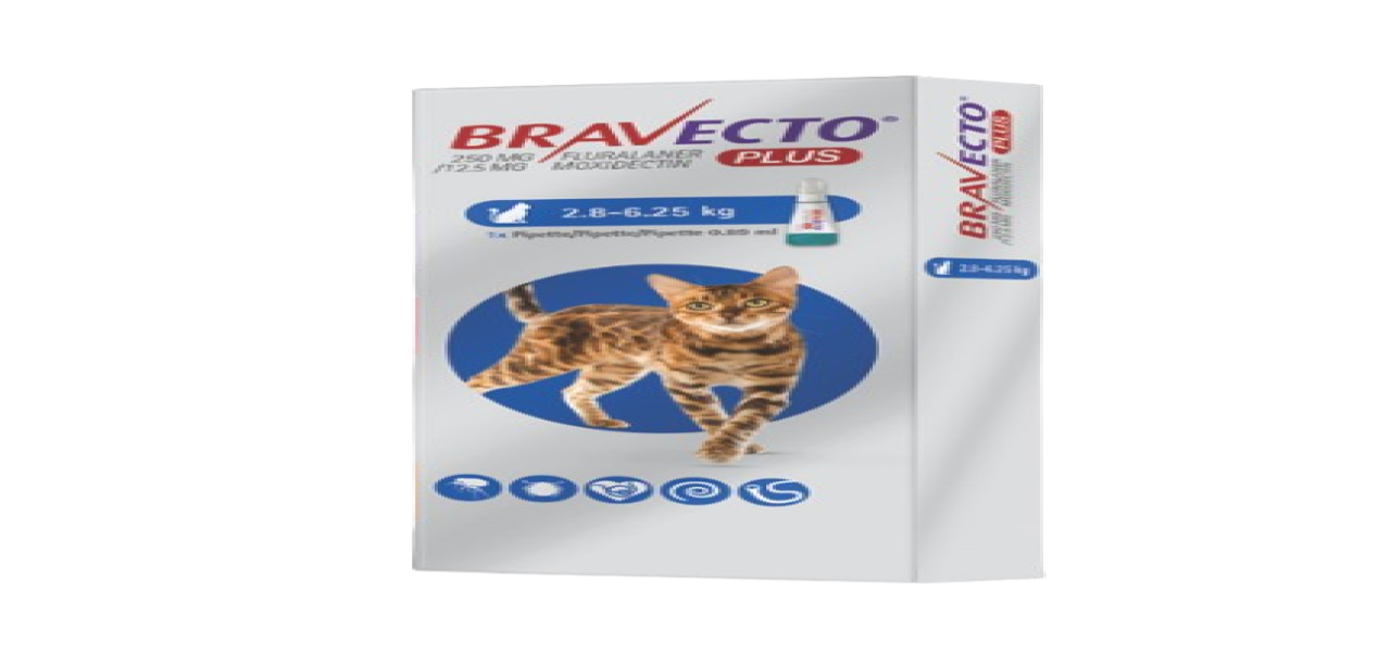 BRAVECTO PLUS CAT