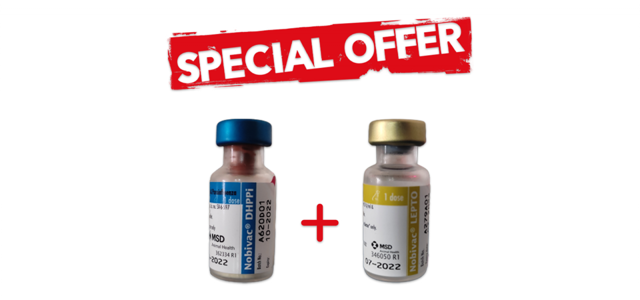 NOBIVAC® DHPPI + LEPTO (OFFER)