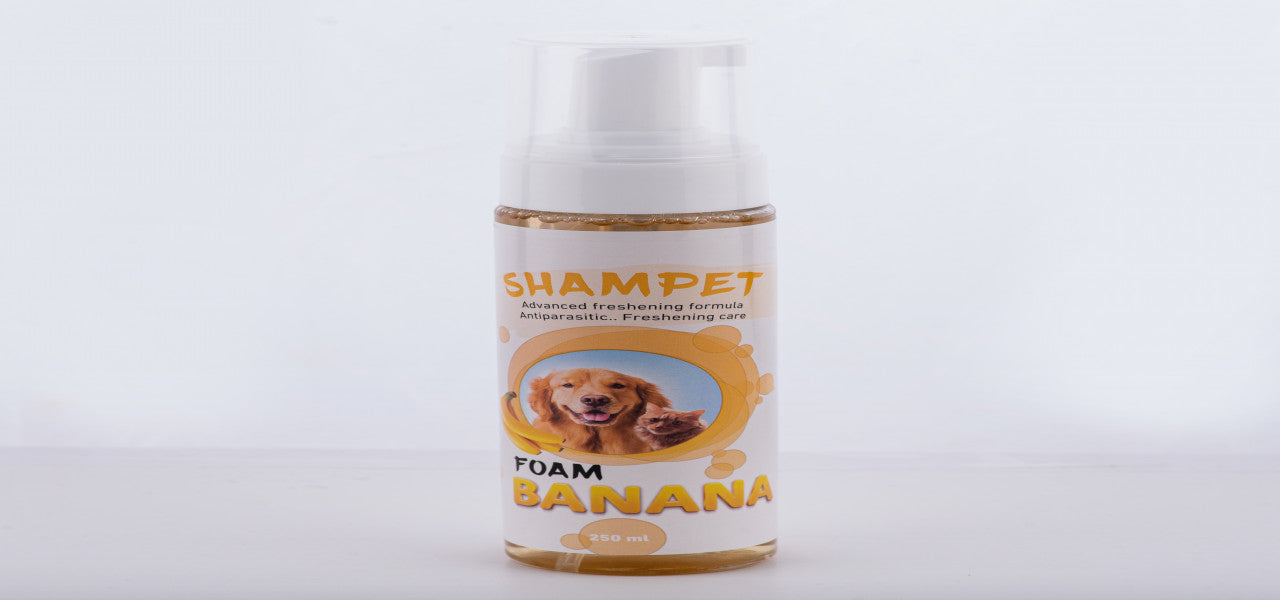 SHAMPET Foam 250 ml