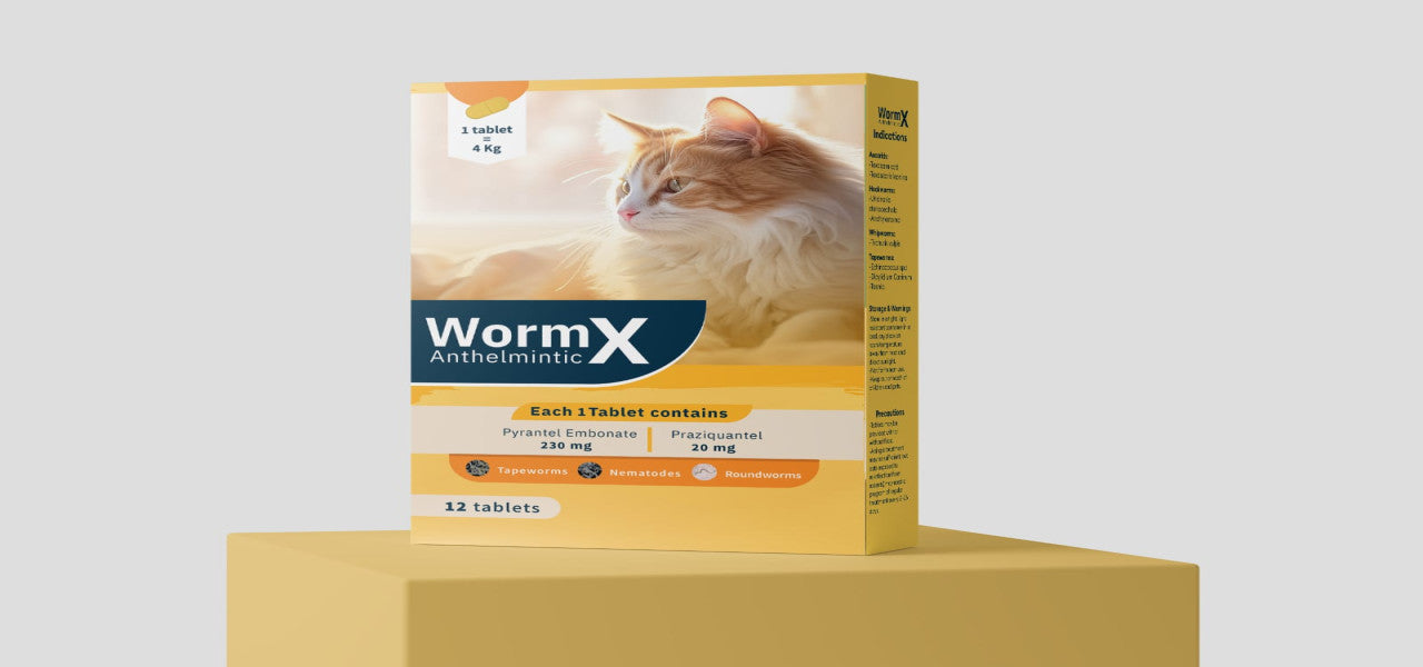 WormX Anthelmintic Tablets for Cats
