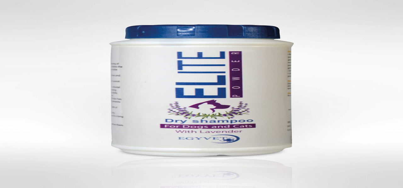 ELITE Powder Dry Shampoo