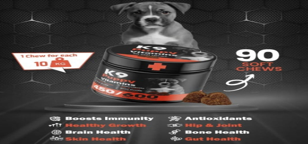 K9 | Puppy Supplement for Dogs
