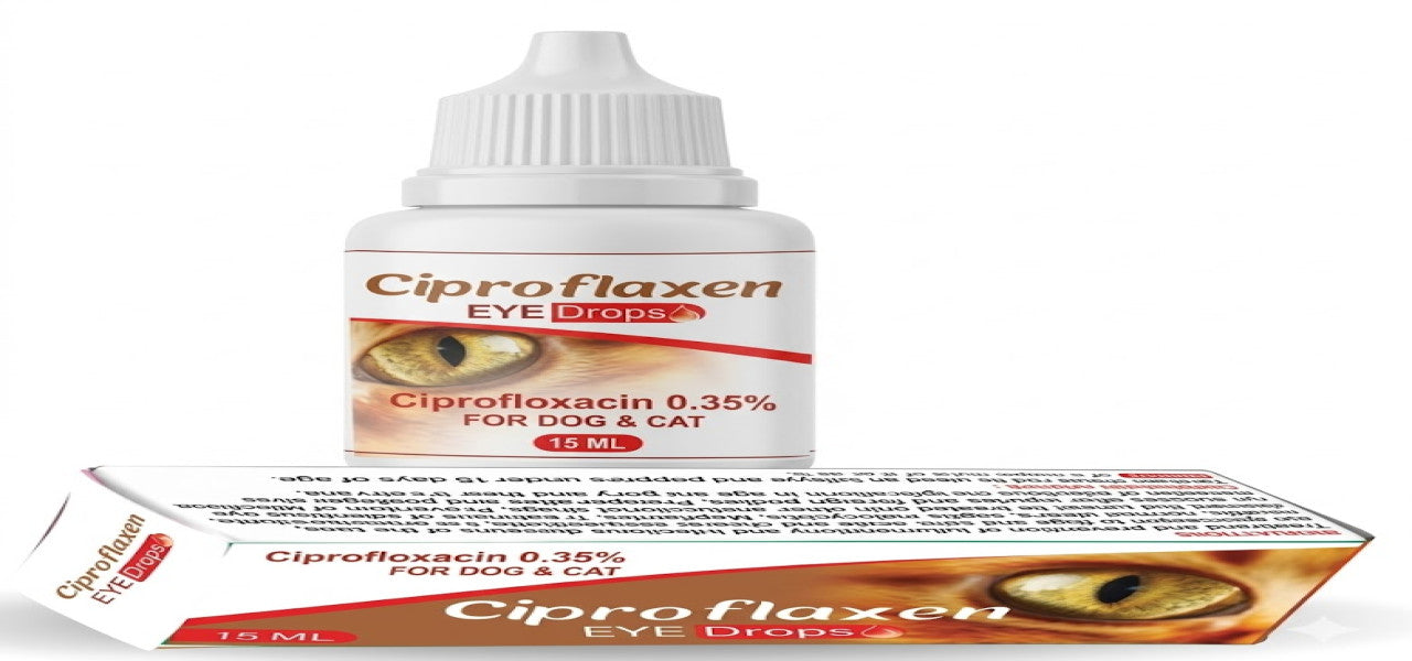 WIDE FIELD | Ciproflaxen Eye Drops