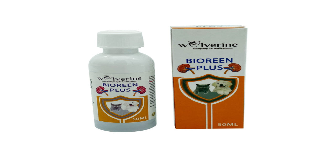 Bioreen Plus Syrup