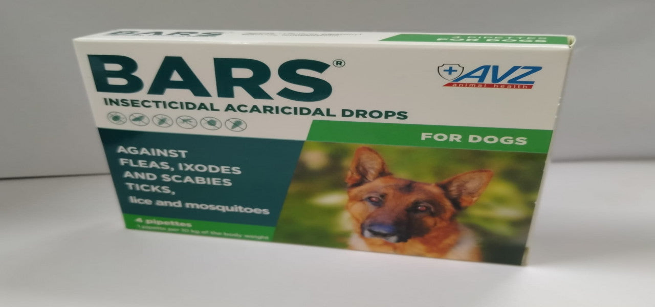 BARS - Dog