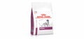 Royal canin | Renal Dog Dry food