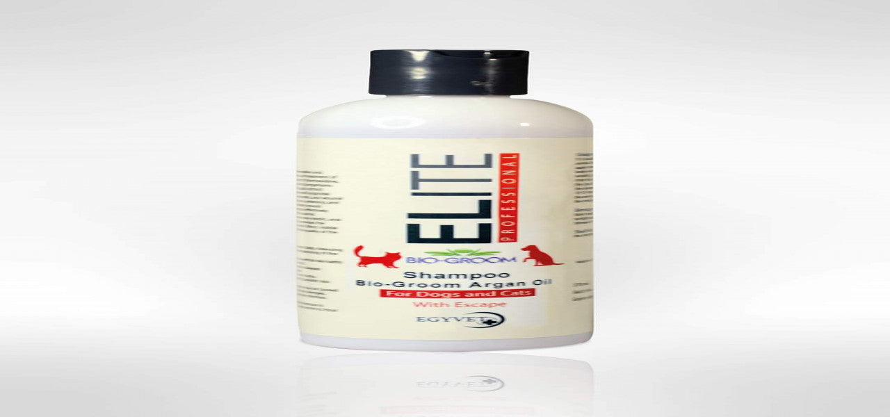 ELITE Professional Shampoo with Argan Oil