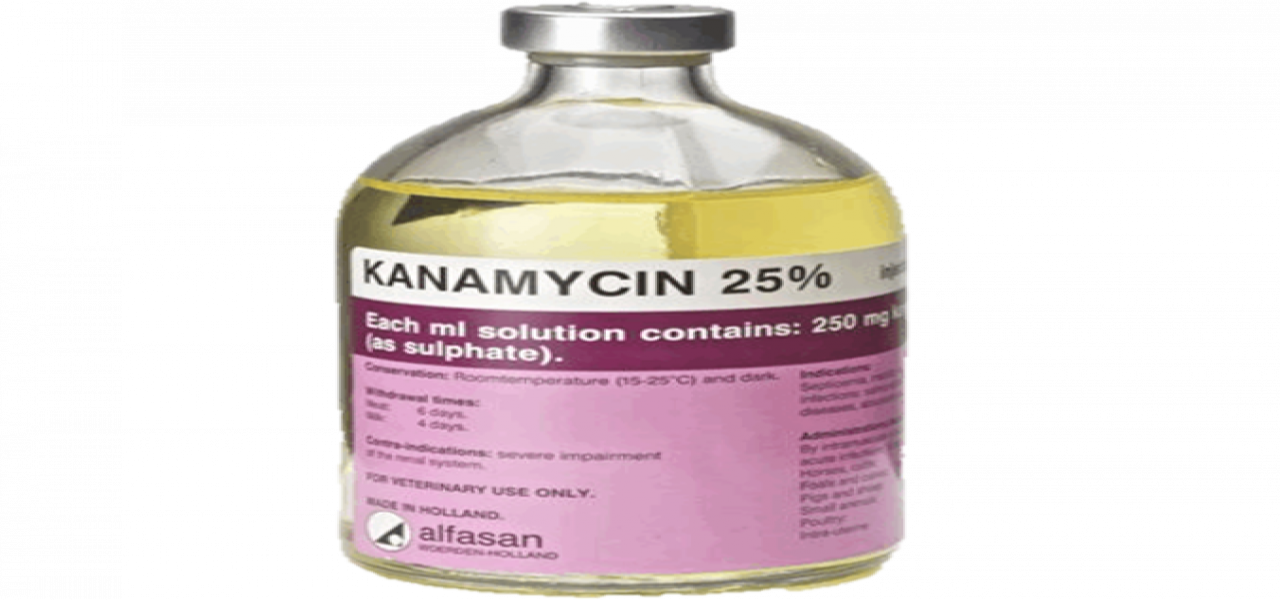 Kanamycin 25%