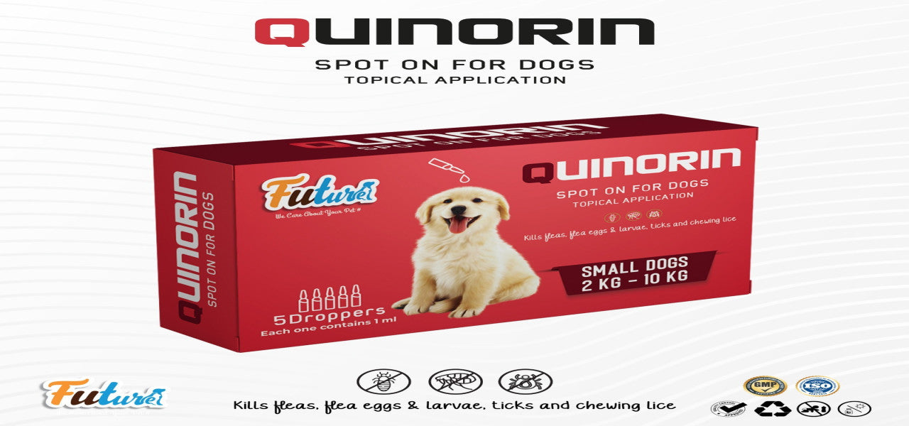 Future | Quinorin Spot On Dog