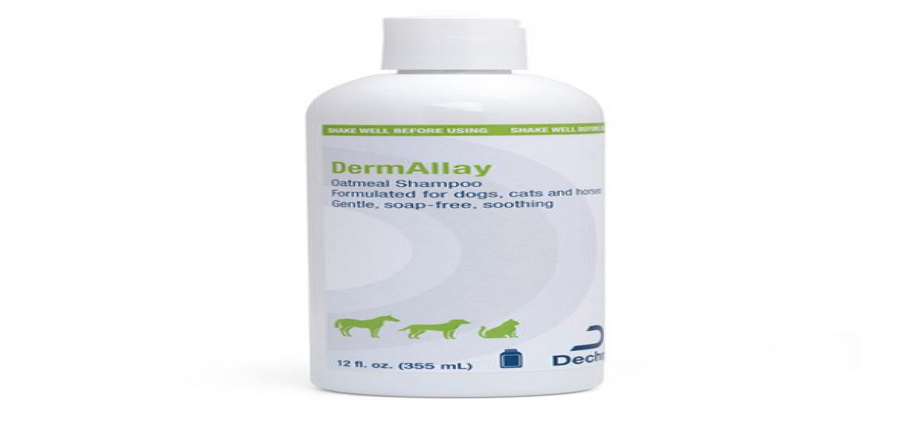 DermAllay Oatmeal Shampoo