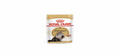 Royal Canin Persian Wet Cat Food