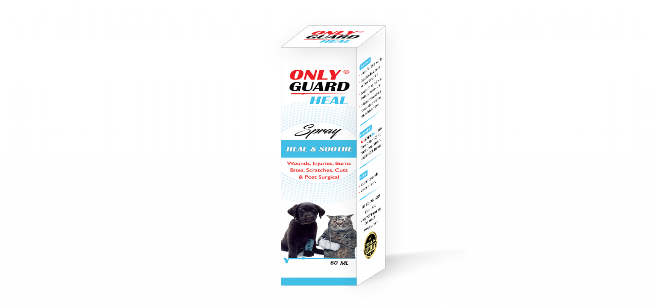 ONLY GUARD | Heal Spray