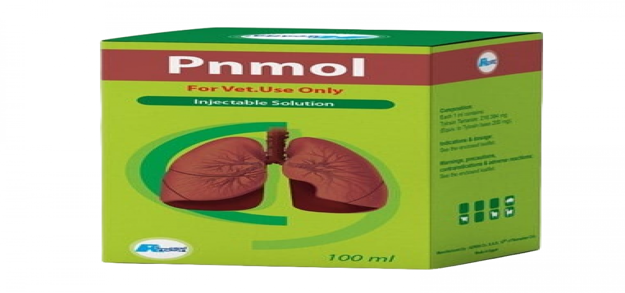 PNMOL