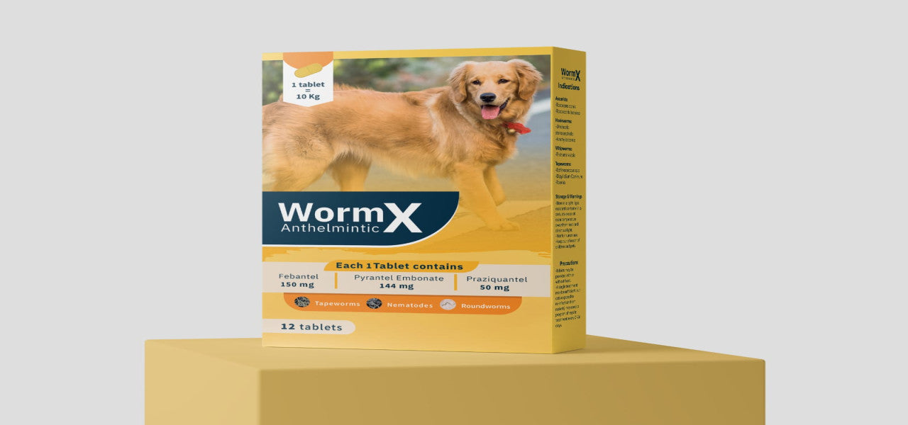 WormX Anthelmintic Tablets for Dogs