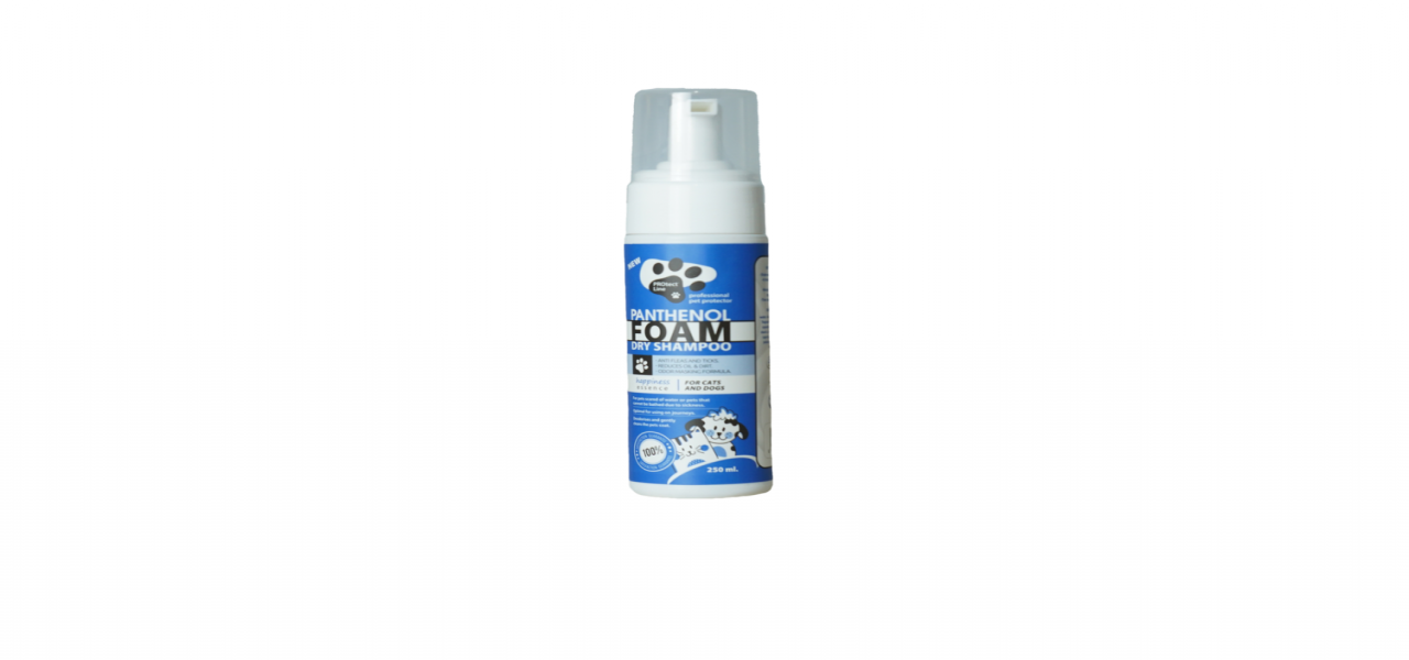 ELITE | PANTHENOL FOAM DRY SHAMPOO