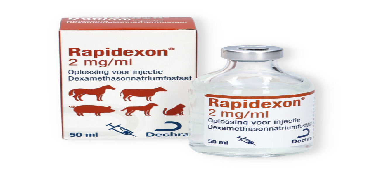 RAPIDEXON