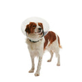 BUSTER Clic Collar 12.5 Cm