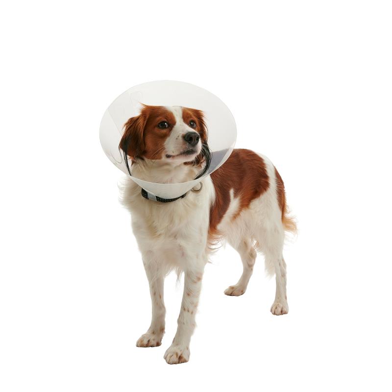 BUSTER Clic Collar 12.5 Cm