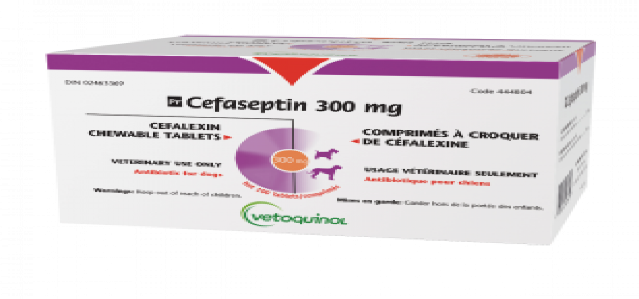 Cefaseptin