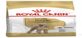Royal Canin | Poodle Adult Dry Food