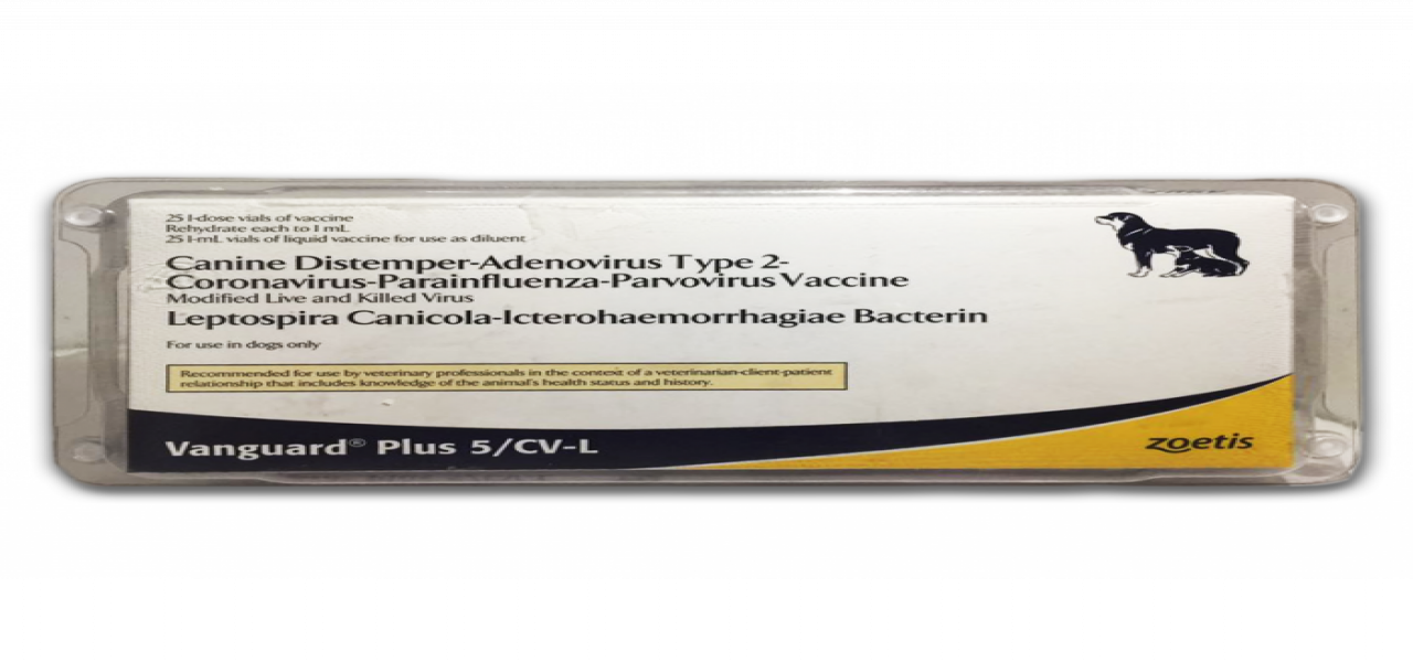 Vanguard Plus 5/CV-L