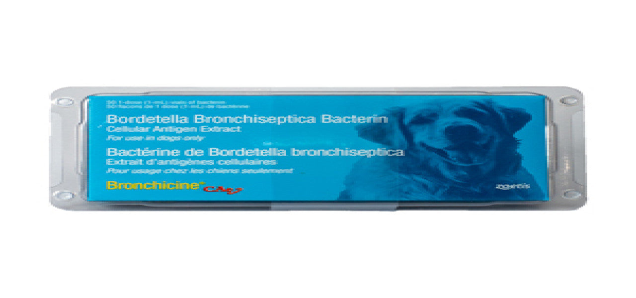 BRONCHICINE® CAE