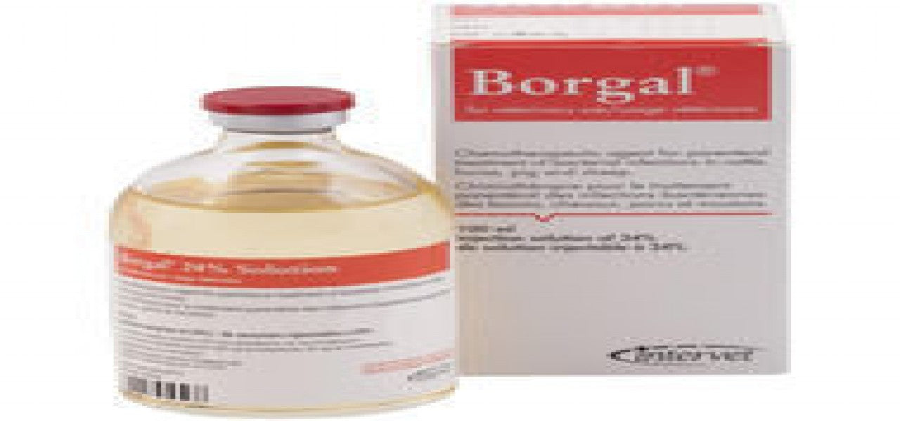 BORGAL® 24%
