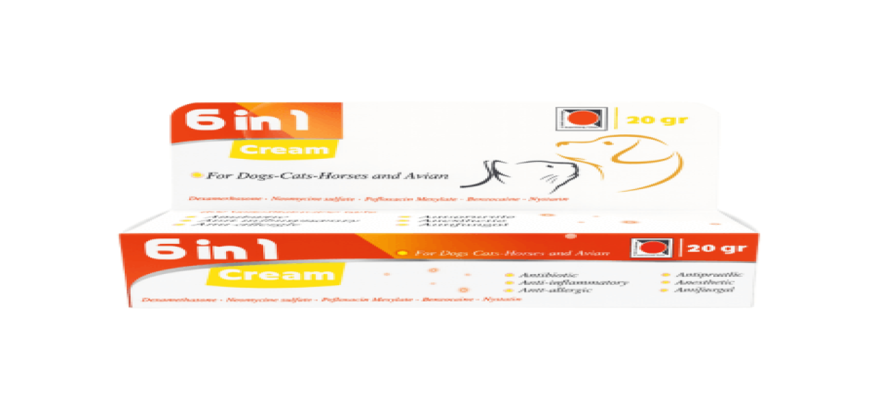 6 IN 1 CREAM | 20 g