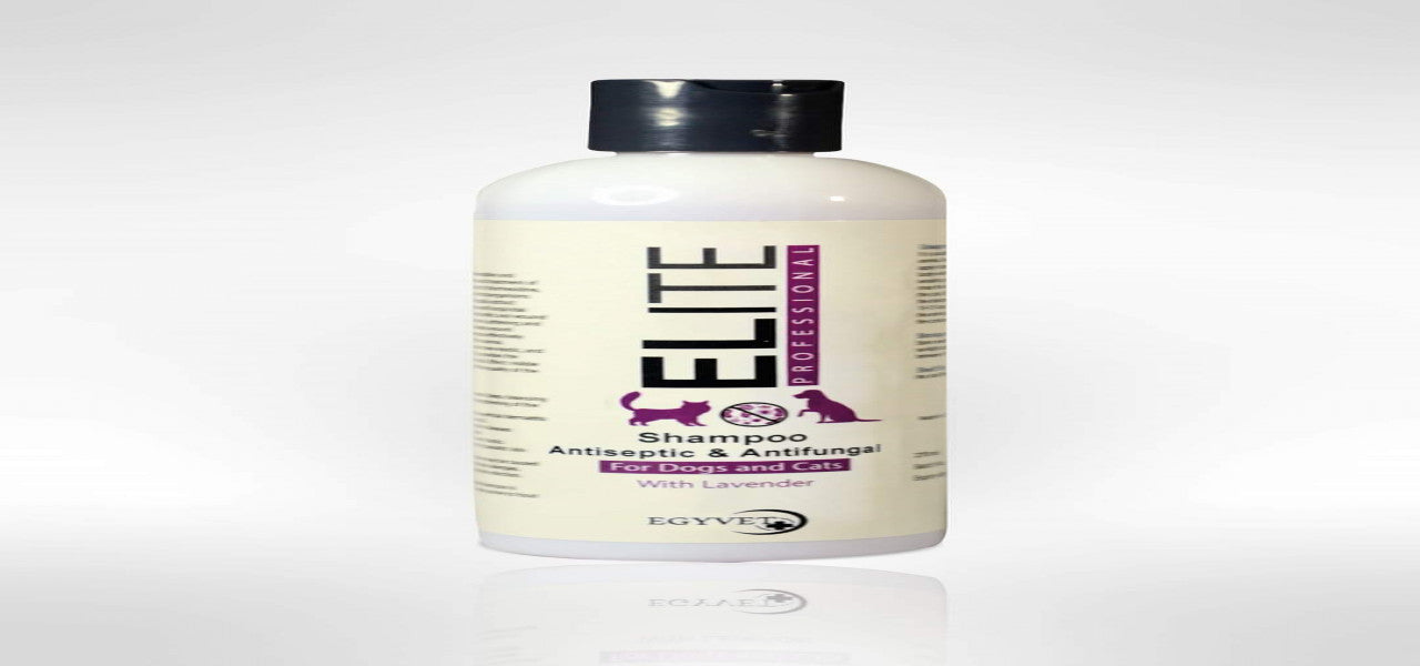 ELITE Professional Antiseptic & Antifungal Shampoo