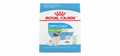 Royal Canin | X-Small Puppy Dog Dry Food